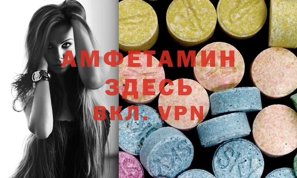 крисы Абаза