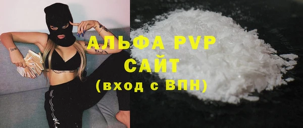 крисы Абаза