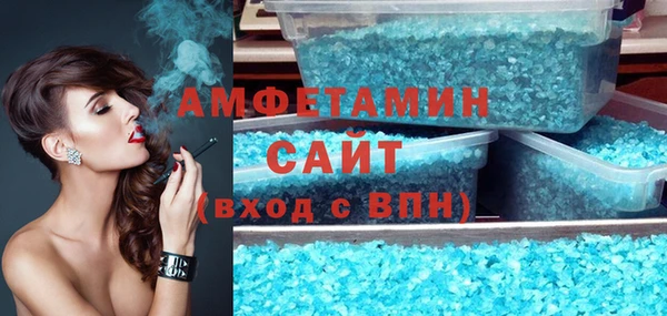 крисы Абаза
