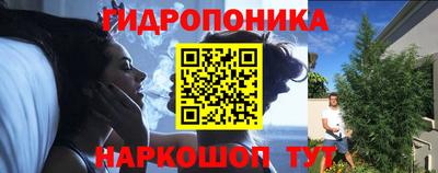 стаф Лесосибирск