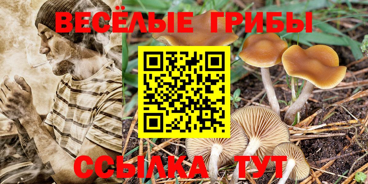закладки  Вход с VPN  Ирбит  Галлюциногенные грибы Magic Shrooms 